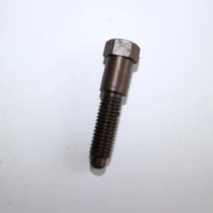 China Manufacturer High Quality Non Standard Insert Nut Customized /Carriage Bolt