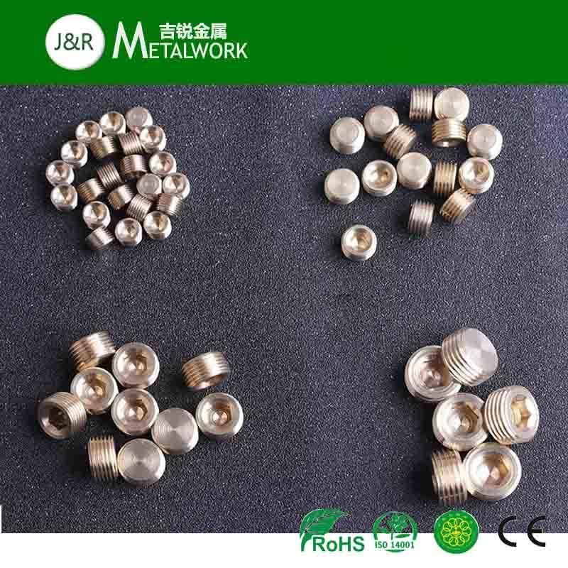 Brass Stainless Steel SS304 Hex Socket Plug Screw (DIN908)