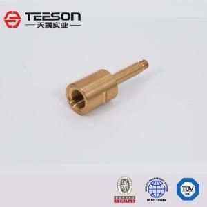 Tiansheng Non-Standard Brass Turning Hardware Components