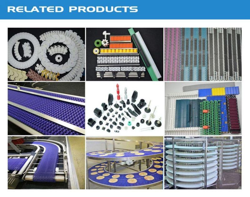 Hairise Slat Table Top Chain for Tobacco Industry Wtih FDA& Gsg Certificate