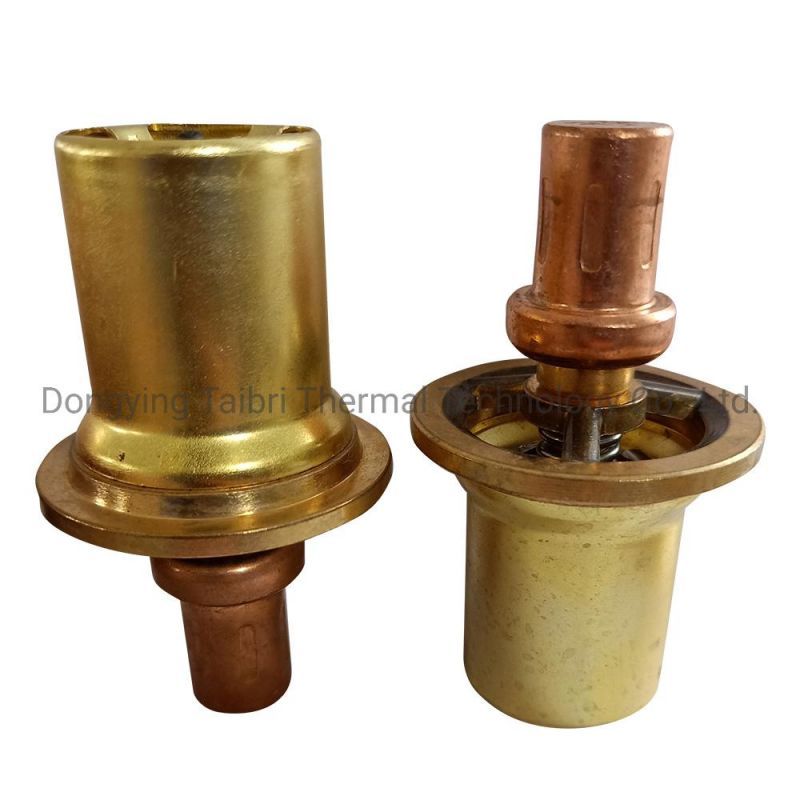 2901-0217-01 Oil Stop & Check Valve Kit Replacement Air Compressor Spare Parts Suitable for Atlas Copco