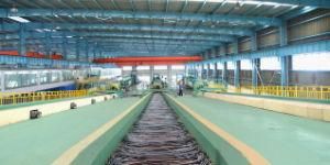 High Ductility Cold-Rolled Coiled Reinforced Bar Production Line