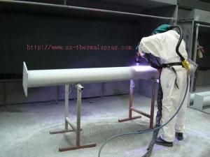 High Quality Spray Metallisation in China