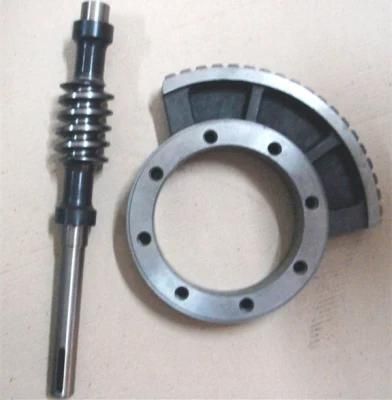 Sand Casting Steel Worm Wheel with Machining Steel Worm Shaft