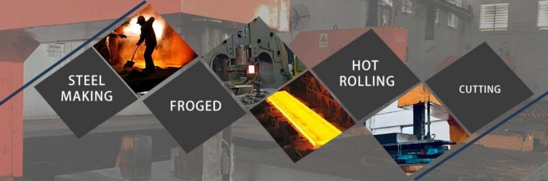 Large Stock Fast Delivery 45# S45c S50c SAE1045 1050 Carbon Steel Hot Rolled Forged Plate