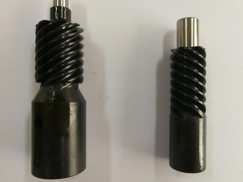 High Quality Customization Worm Gear