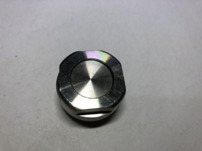 OEM Customized High Precision Metal Pentagon Bolt with Electropolishing