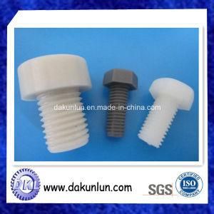 CNC Lathing Plastic Screws for Special Parts
