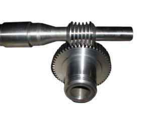 Customized Carbon Steel Forging Worm Gear for Mining Machinery Parts