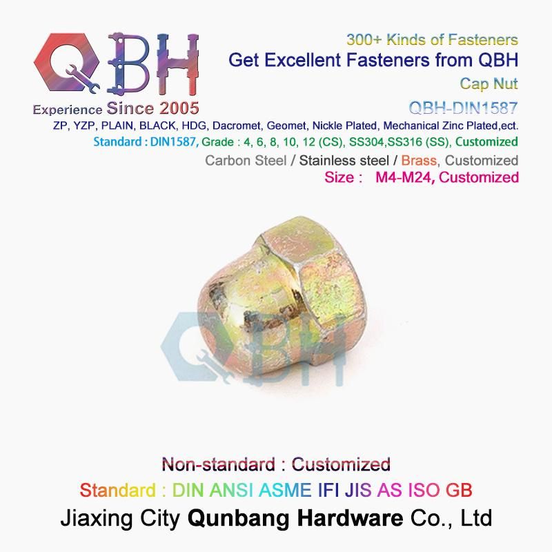Qbh Carbon Steel Stainless Steel Nylon CS Ss DIN1587 DIN986 Hex Protection Domed Cover Cap Acorn Lock Nut Locknut Automobile Car Auto Spare Parts