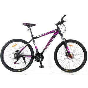 Hot Bicycle Factory 29&quot; Wholesale MTB Mountainbike