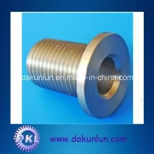 Stainless Steel Adjust Flange Bolt