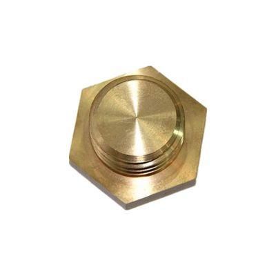 OEM Custom Brass Casting/Forging Parts