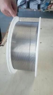 Stainless Steel Wire /Best Manufacture
