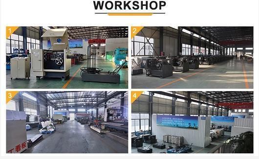 Wire Nail Polishing Machine Manufacturer High Capacity in China