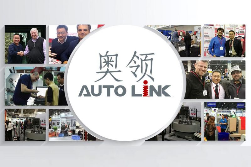 Autolink CNC Automatic CNC Machine at Low Price
