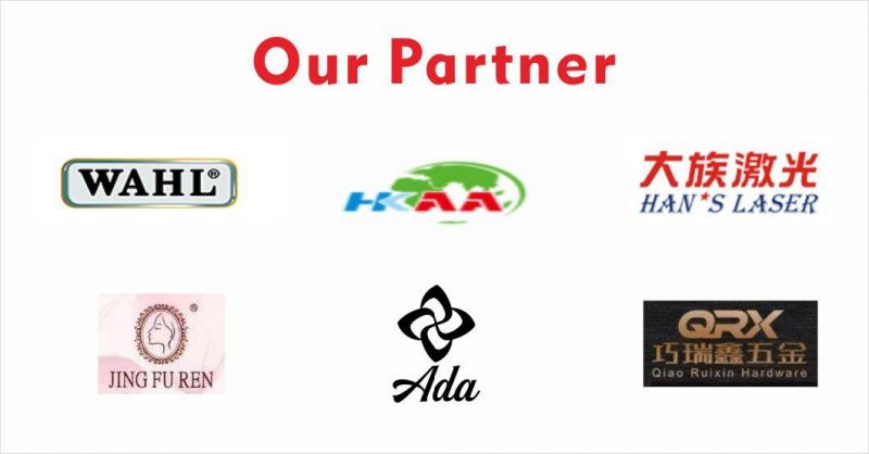 China Foundry Manufacturers Precision Custom OEM Cast Iron Part Zinc Aluminum Metal Die Casting Parts Services