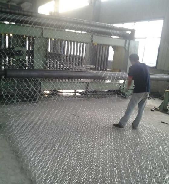 Hexagonal Mesh Machine/ Gabion Mesh Machine