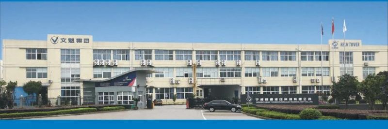 Hydraulic Motor Spare Part Rotor and Rotary Group