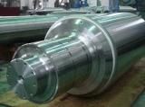 Heavy Section Steel Forged Roll with Best Price