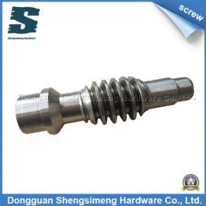 Stainless Customized Worm (Endless Screw)
