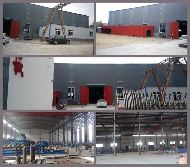 China Supplier Dixin Hot Sale 1050 Ibr Roof Cold Roll Forming Machine