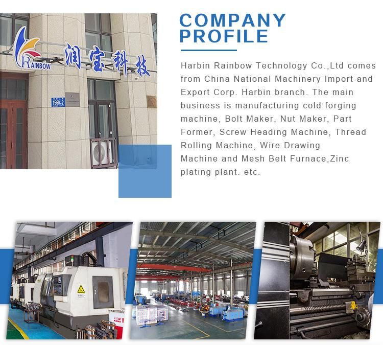 Zinc Plating Line/Fastener Parts Plating Machine