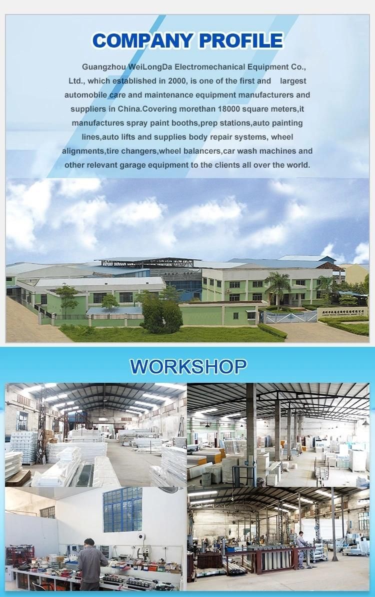 Wld2022 Customized Automatic Electrostatic Powder Spray Equipment/Spraying Machine/Painting Lines/Powder Spraying Equipment/Production Lines/Powder Coating Line