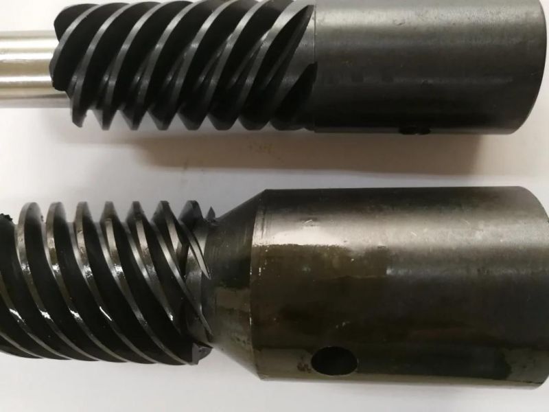 High Quality Customization Worm Gear