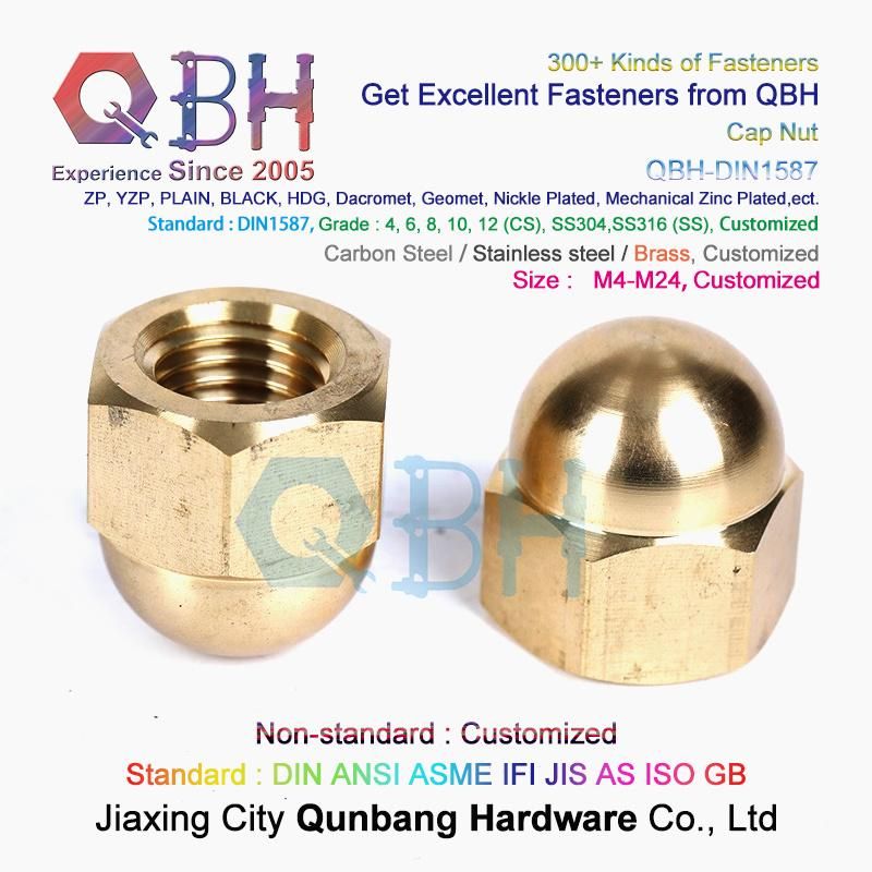 Qbh Carbon Steel Stainless Steel Nylon CS Ss DIN1587 DIN986 Hex Protection Domed Cover Cap Acorn Lock Nut Locknut Automobile Car Auto Spare Parts