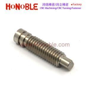 Stainless Steel Slotted Bolt of CNC Turning Parts