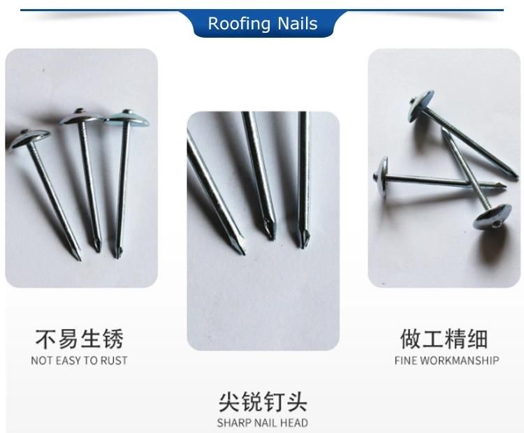 Professional Nail Machine to Make Galvanized Roofing Nail Roofing Nail Cap Making Machine