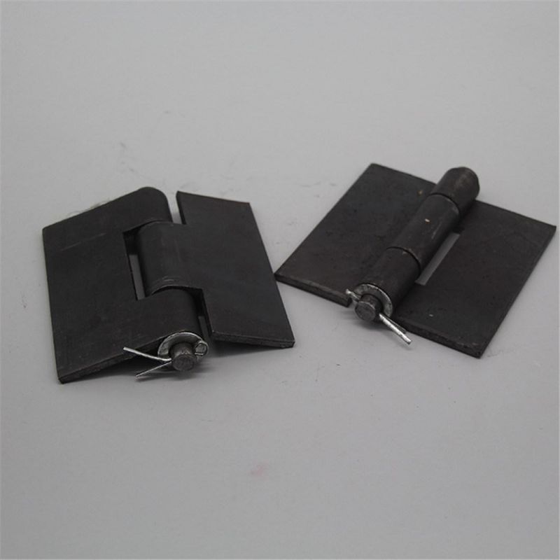 Carbon Steel Container Door Hinge