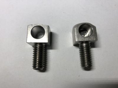 OEM High Precision Customized Steel Square Bolt with Plain Surface