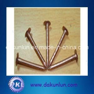 Polished Common Copper Nail