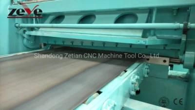 Silicon Steel/Carbon Steel Coil -Double Straighener Machine/ Transverse Shear Line