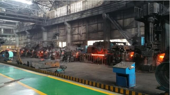 Steel Rolling Mill for Rebar and Wire Rod