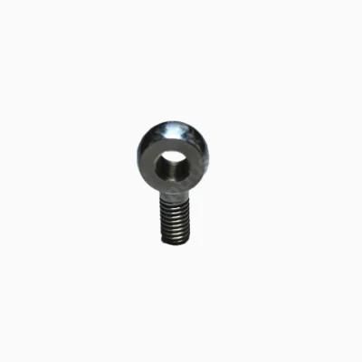 OEM Stainless Steel Eye Bolt for Lifting