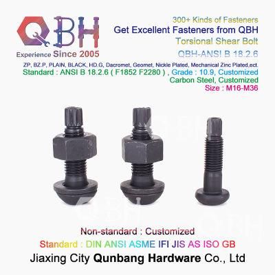 Qbh Customized Plain Black HDG Zp Yzp Steel Frame Structure Torsional Shear Tension Control Tc Bolt Set Bridge Splice Plate Spare Parts