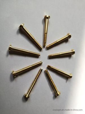 CNC Machining Brass Plunger Pin /Auto Parts