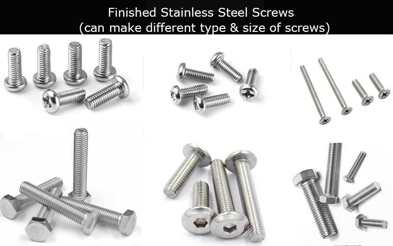 Countersunk Head Machine Ss Steel Screw /Self Wood Screw Machine Making