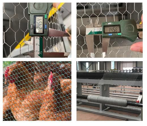 Reverse Twist Hexagonal Mesh Machine for Chicken Mesh