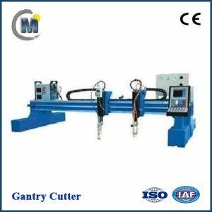 Offer Qgl Safe Gas CNC Gantry Cutting Machine