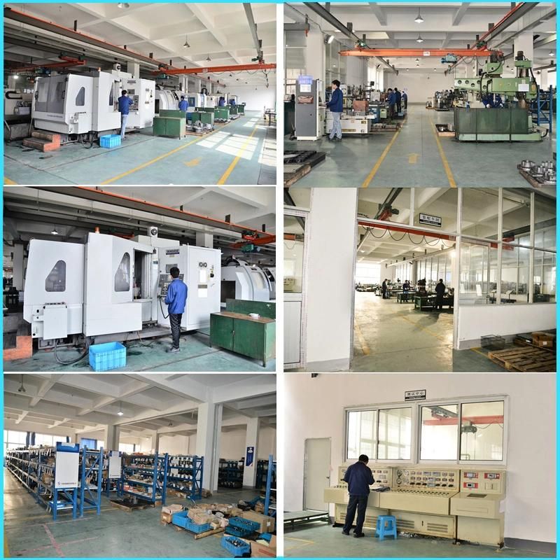 Hydraulic Motor Spare Part Rotor and Rotary Group