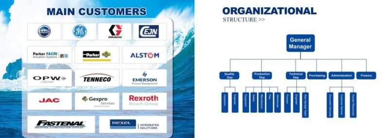 #304 Stainless Steel Non-Standard Gasket