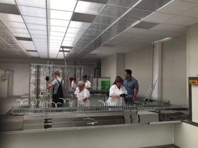 UV Curing Coating Line Vacuum Coating Machine