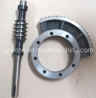 Casting Auto Parts Ductile Iron Worm Wheel