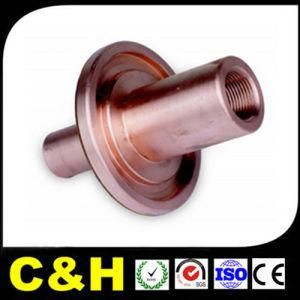 Brass/Copper CNC Machined Turning Parts for Auto Machine