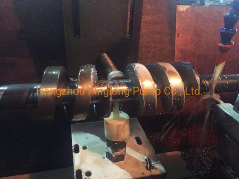 Rotor / Screw Set / Spindles of Twin Screw Pump
