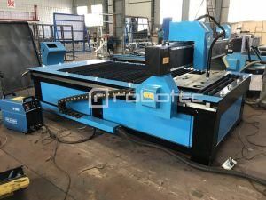 Wide Sales Plasmer Cutting Machinery/Efficientfast Plasmer Worker